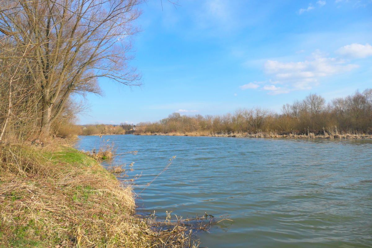 e23a883e-199b-417f-87b2-051e8422a3d7