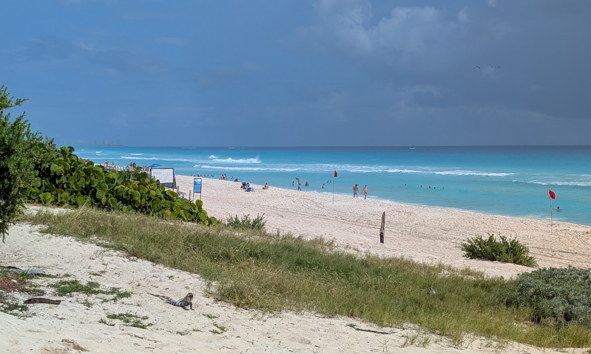 3374e51a-e41f-4805-8919-226129d6af9f