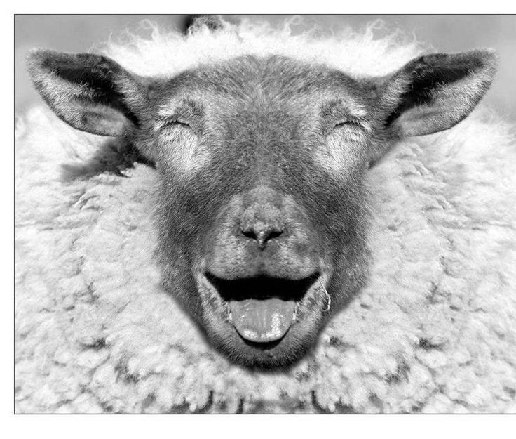 8061f425-1972-4367-84ae-ef3af93c14fe