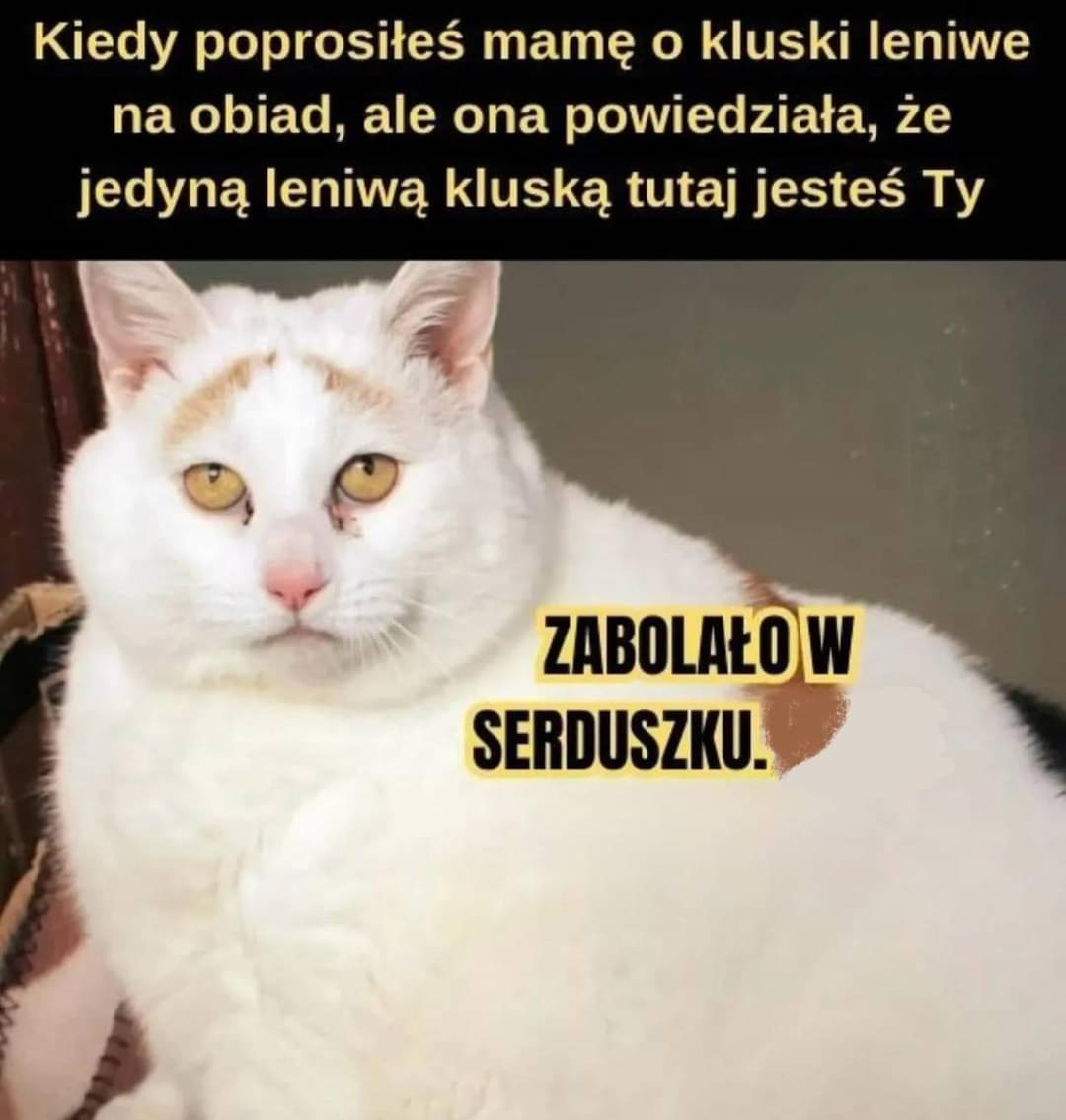 f86a88e9-9b7e-47c1-a71d-4720287cf5f1