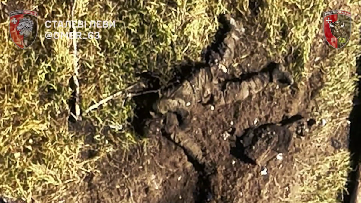 7d27f28c-0054-4480-b8a8-b04a201c2c9f