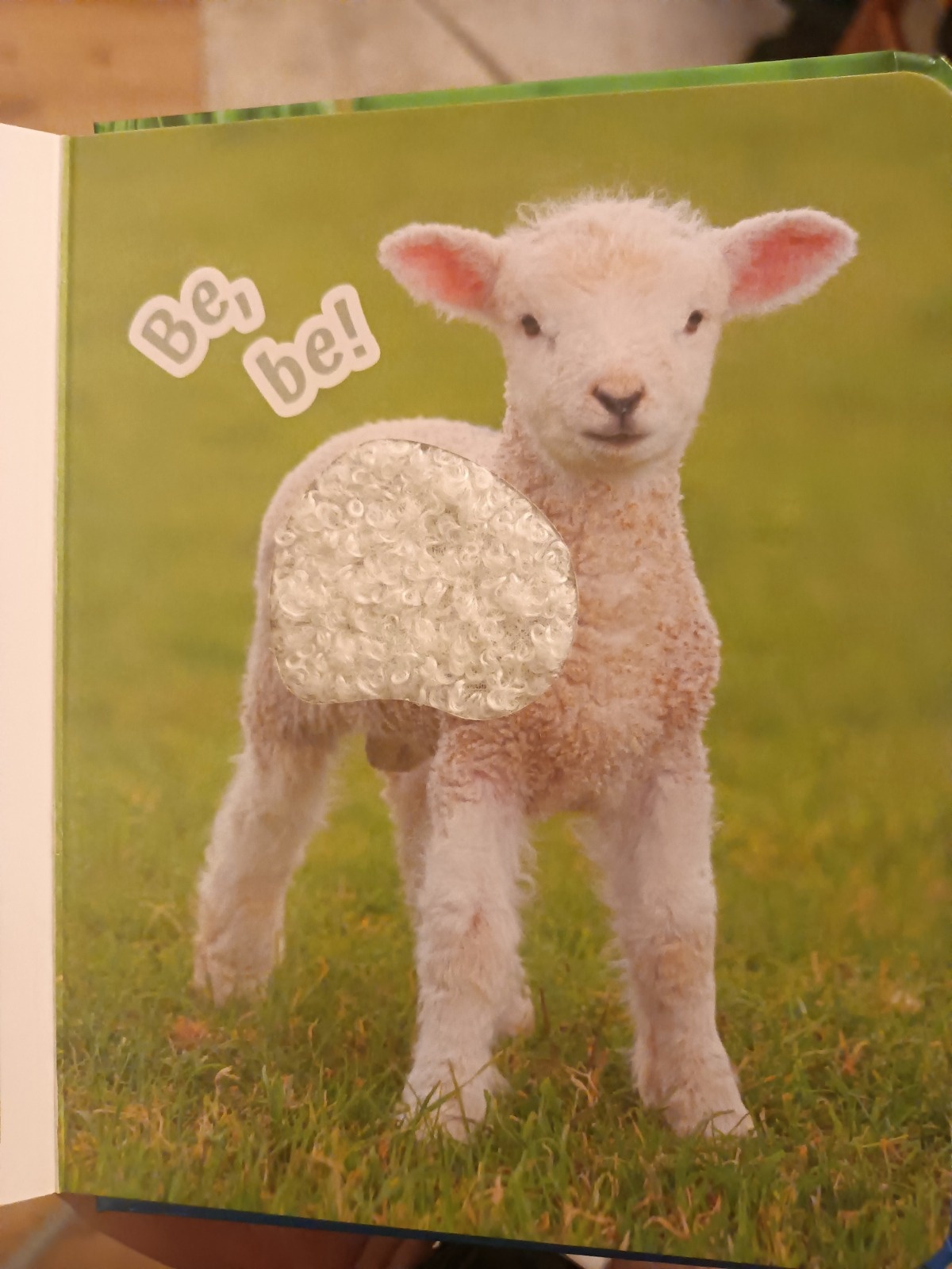 49510d1c-07f7-43b4-b8bf-28fac198bad8