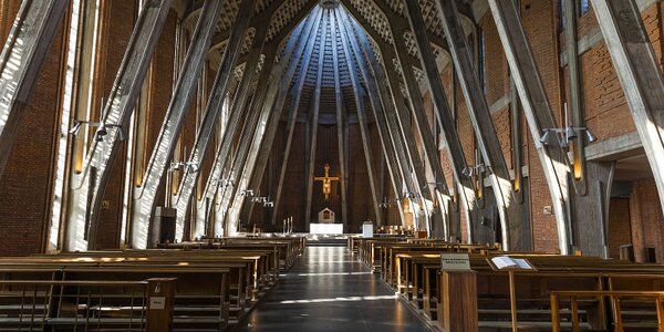 Jerzy Surdykowski: Tego nie wiedzą biskupi