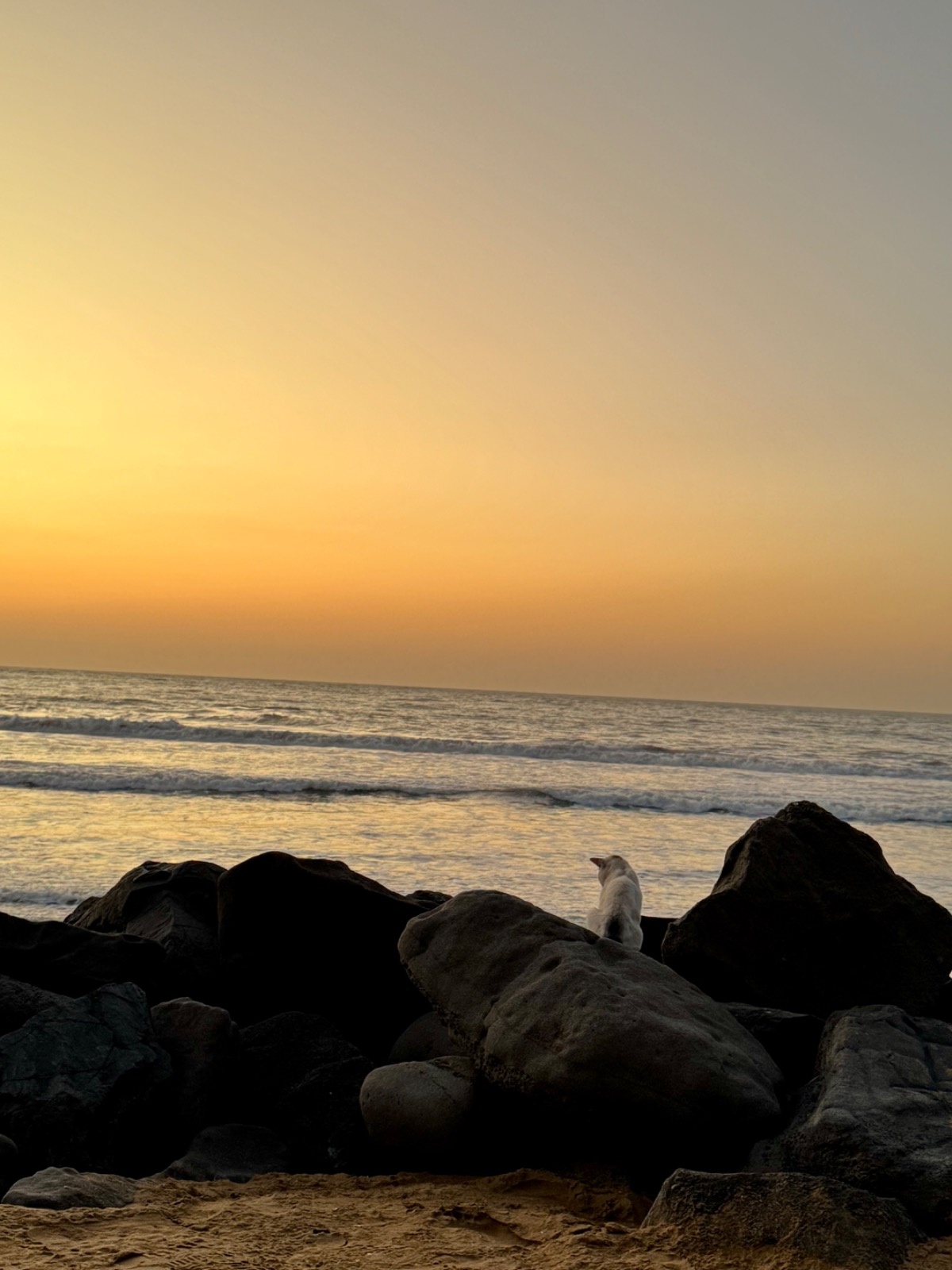 60ee12f6-8bff-4a9a-8fd4-b54cdee5edbe