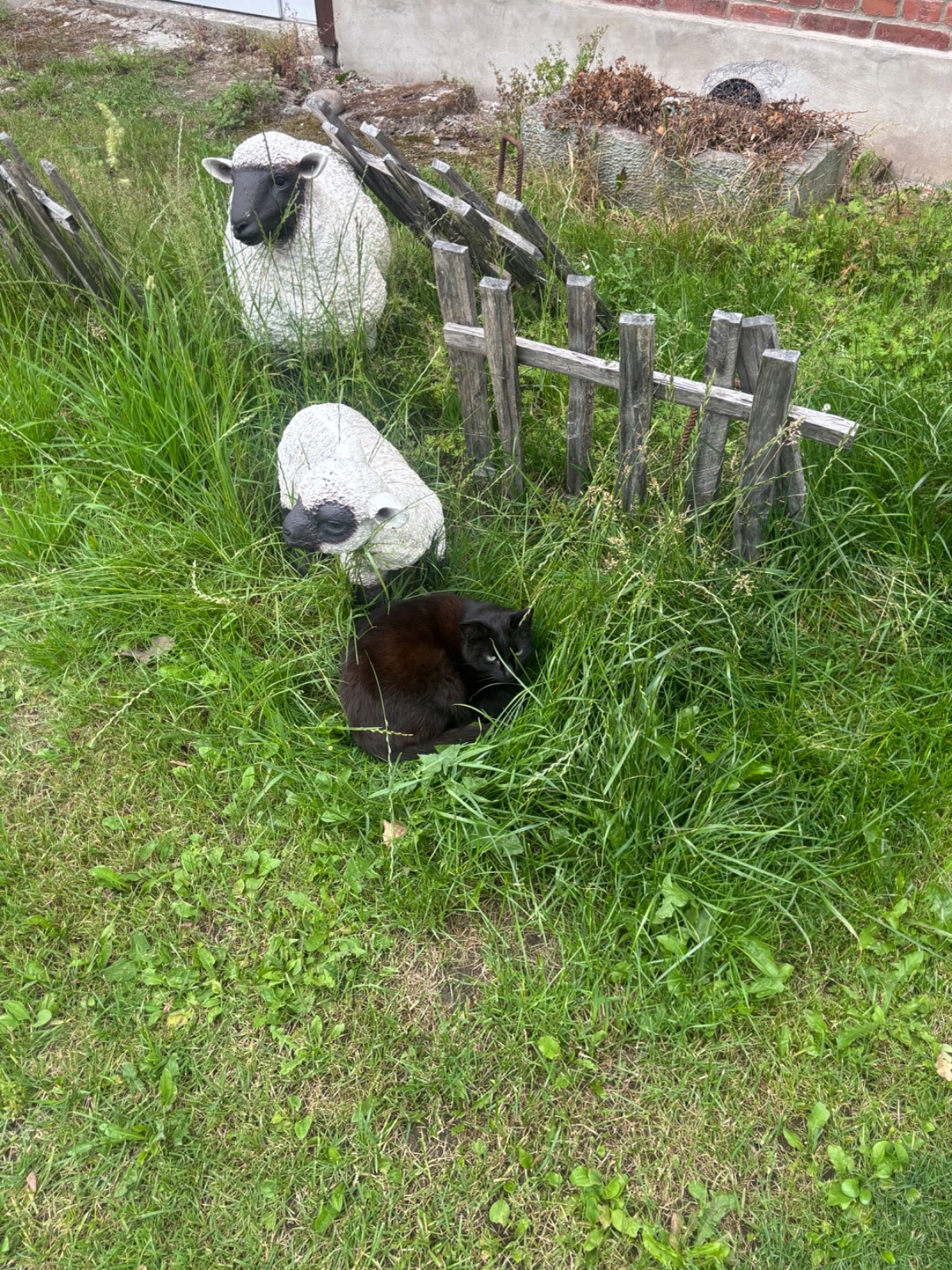 259e6f01-da24-4dfa-897e-21dea96752ff