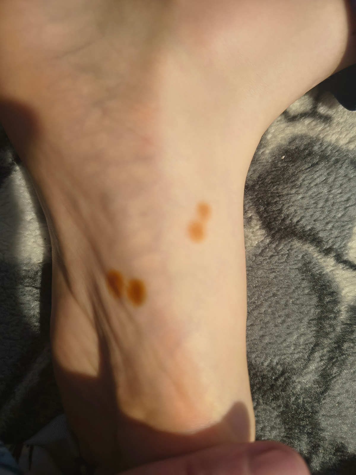 df2159d7-fda9-46a3-8413-f46be7259d6a