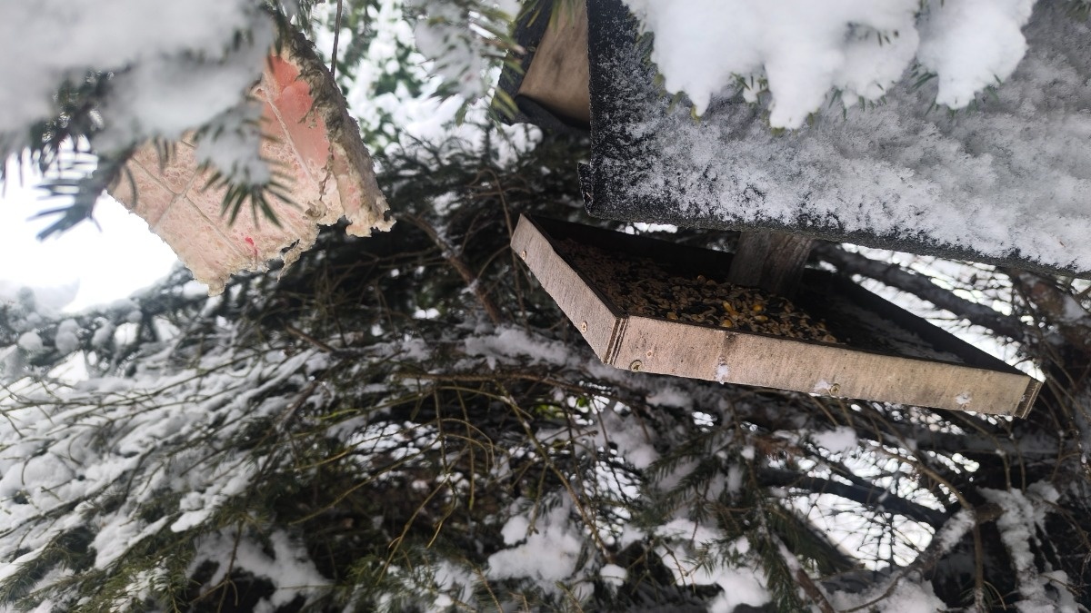 46690a84-5083-4bd8-895c-7906988e757e