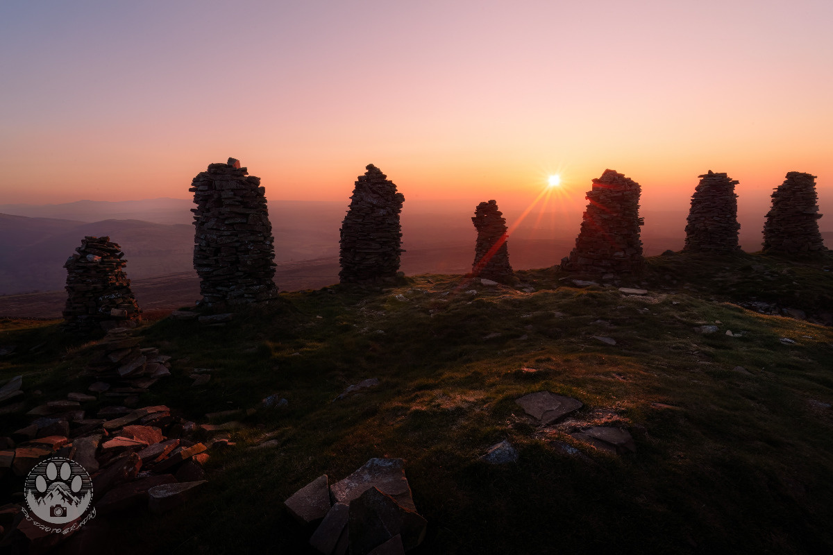 02b7ea06-1dc1-4fde-90c7-466ea19da8cd