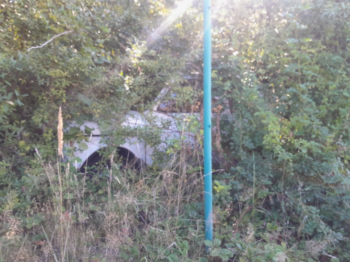 4dfa7be2-52ce-4cfb-bdc8-ac7d8550788e