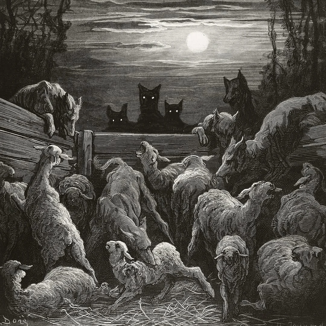 2898bf50-f907-41c2-aa08-a43c83a0066d