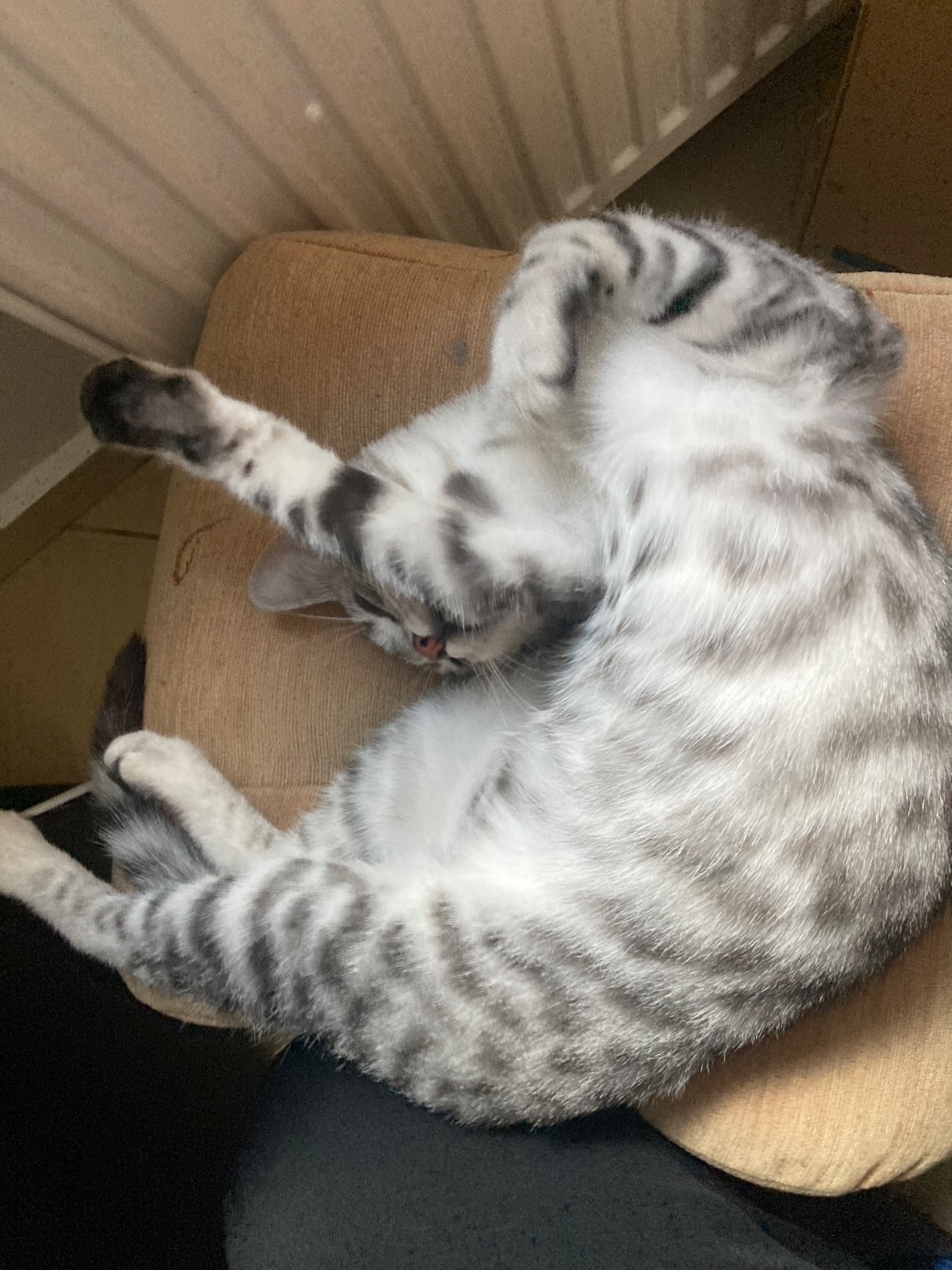 ecededb4-bdfc-4769-adb2-f6797b0fab65