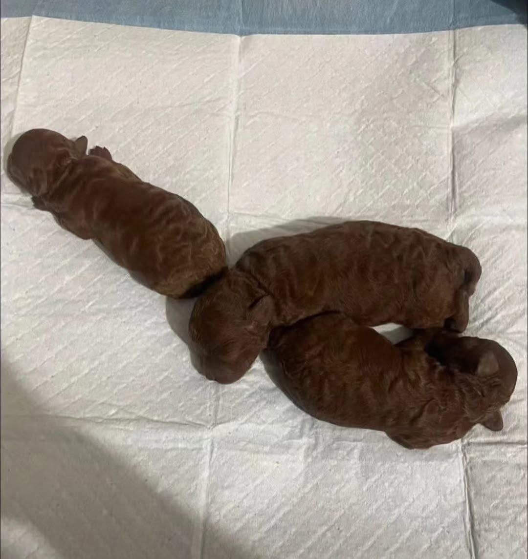 f44b9cdd-3d5d-4fef-b4fb-fc741020cafc