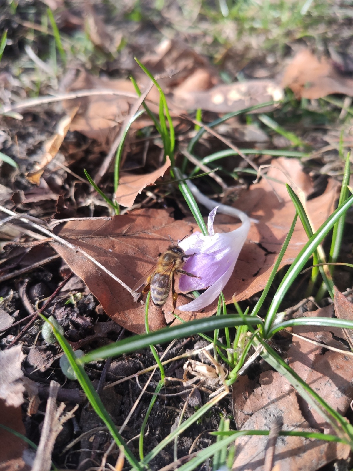 6e9fb75e-978c-4a47-be9a-8734eb7a2805