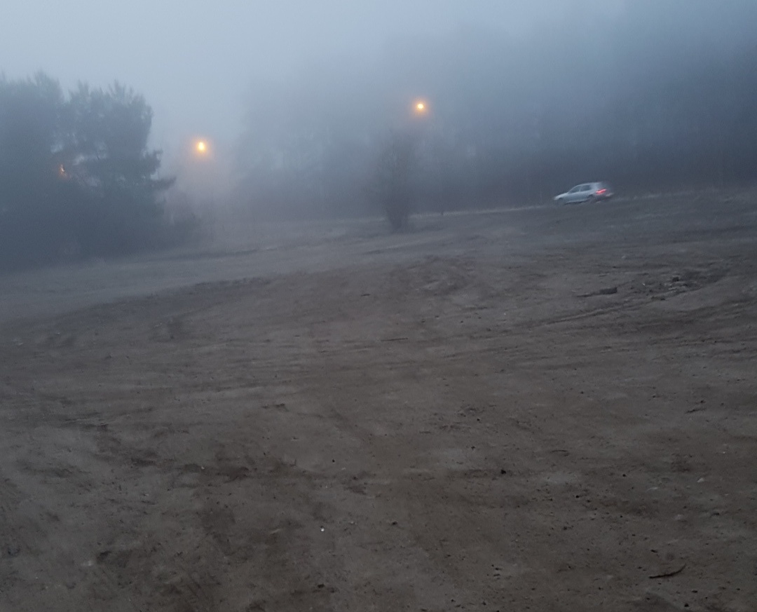 f4c1c595-bd69-4772-b31e-5784c0ae6841