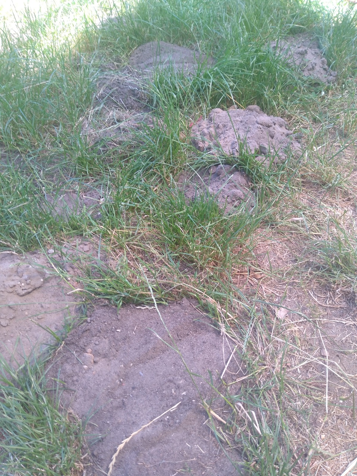 1955809c-6e5a-4409-9b73-cb62209c606c