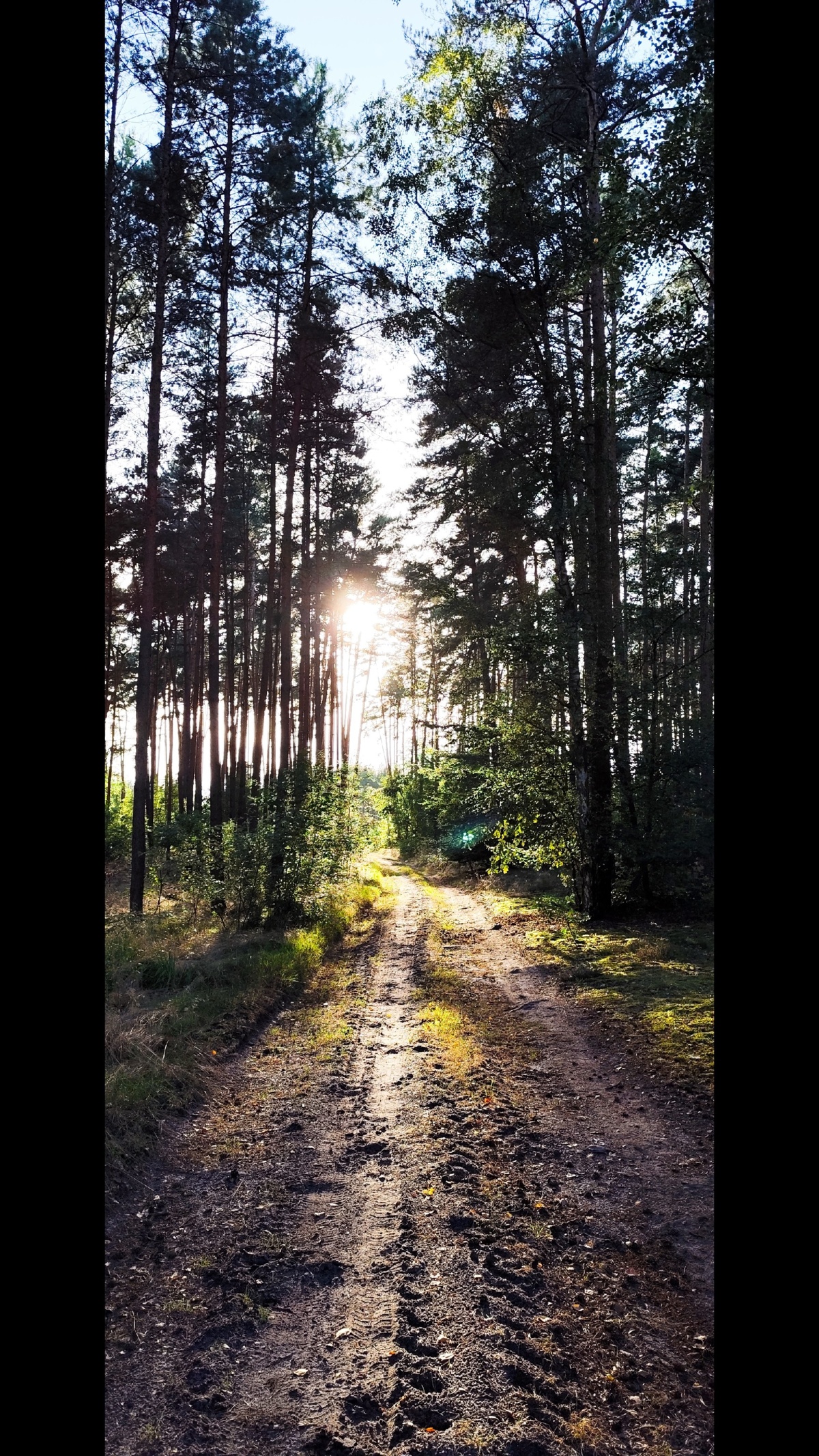 03a777c5-3b1e-473b-b324-2d35885691be