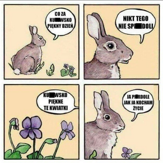 60023e0b-ddd0-42d6-90eb-731beb015cde