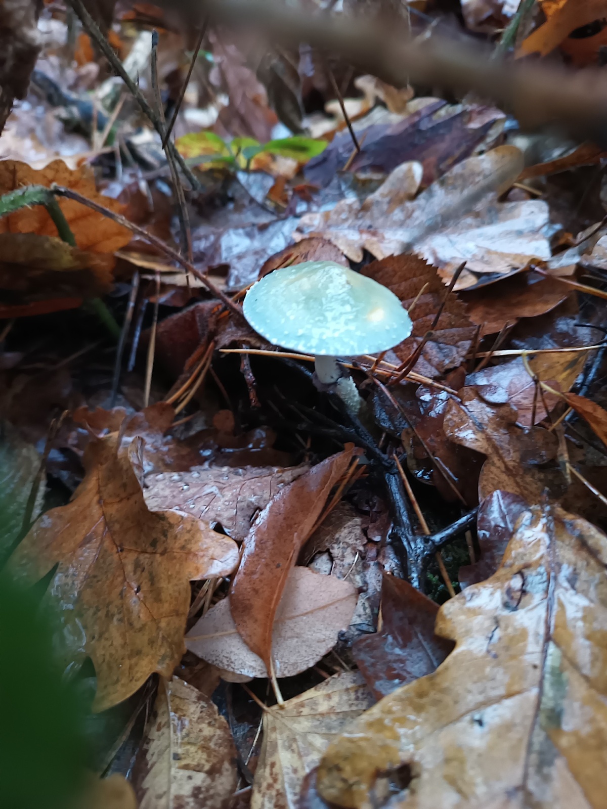 c31f0e4d-70f8-4e4a-911c-237b97f73b17