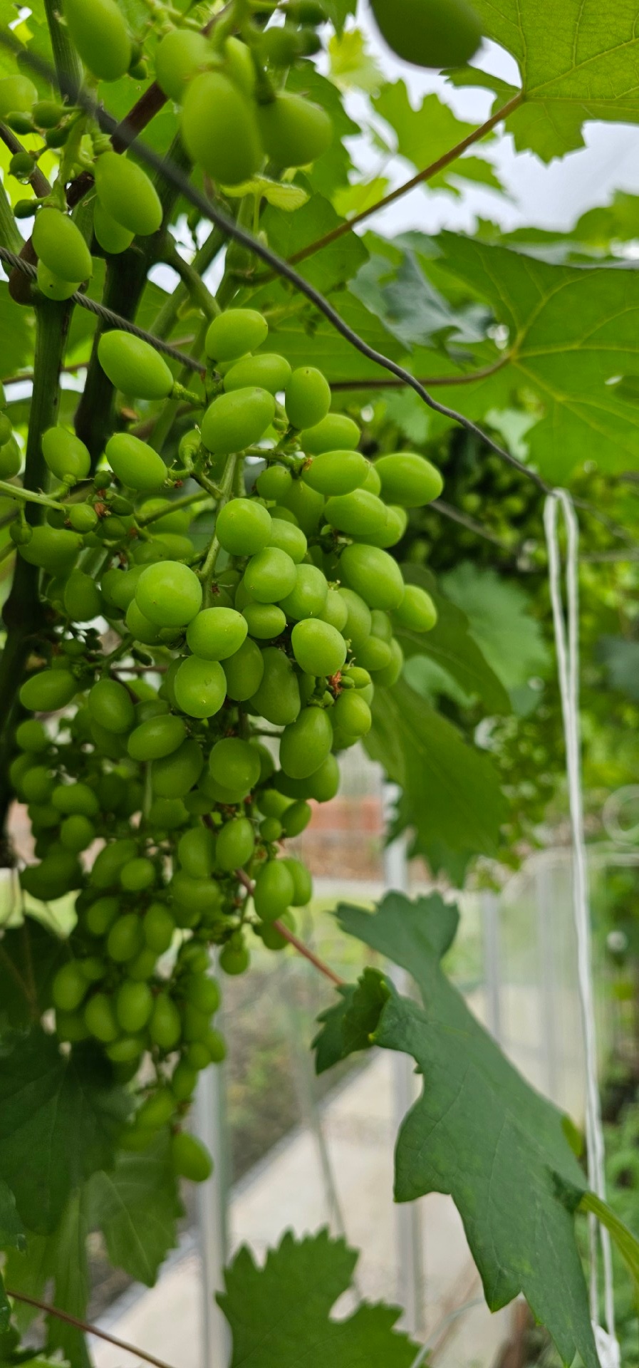 5d0d0bdf-5559-4c39-bc39-055dff27028c