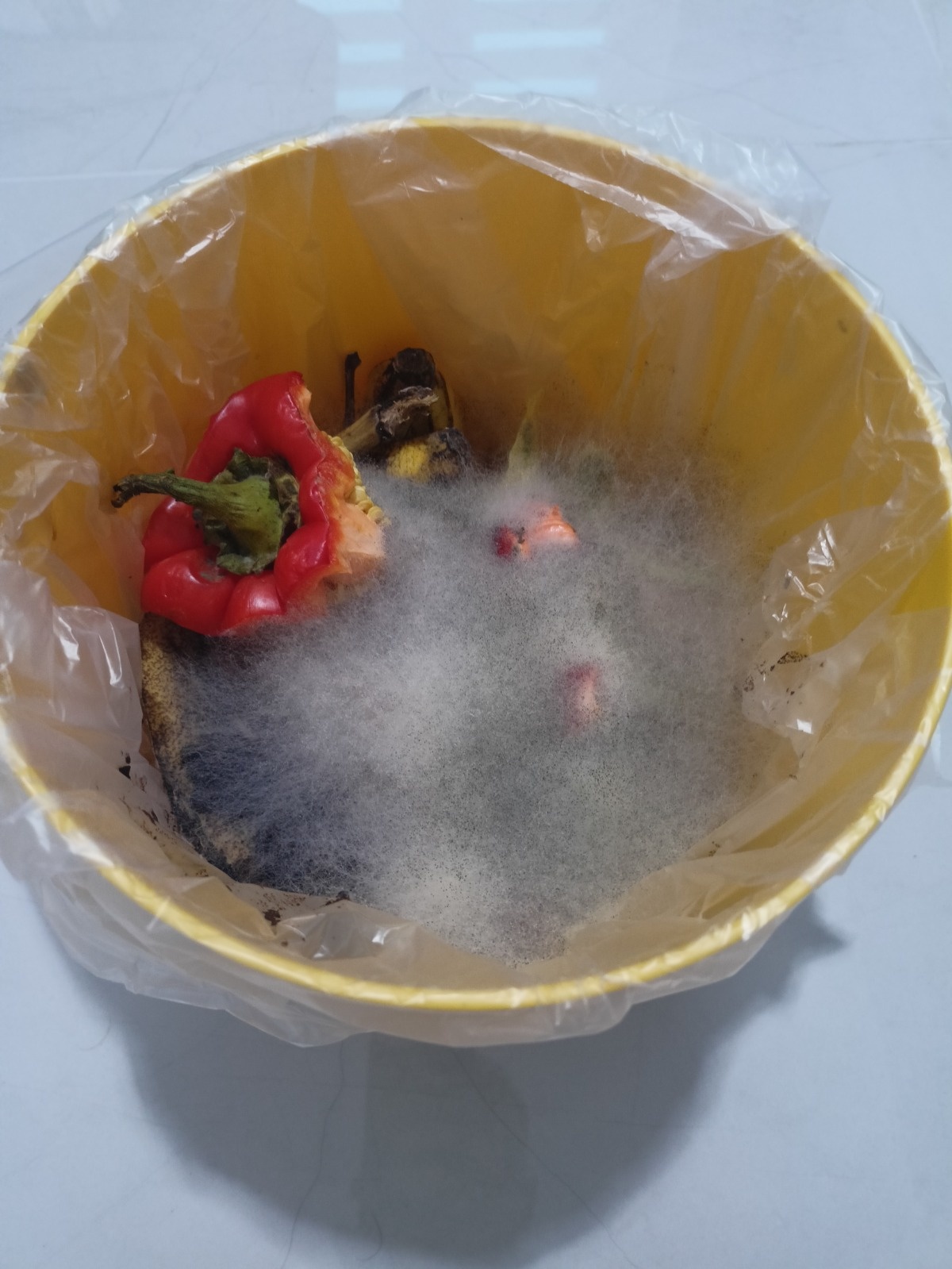 15d61b71-e030-4f3c-aab7-5aeccdadeec2