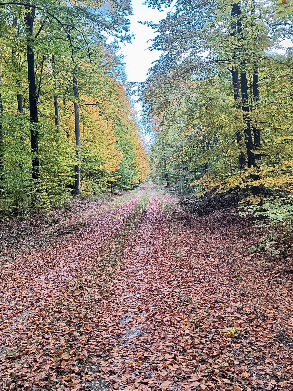 349bfa73-b498-4618-82f8-8140a0823956