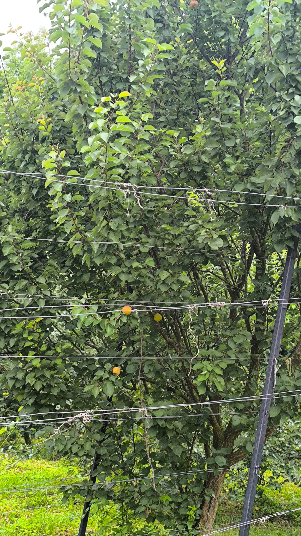 1de6eb4f-7866-42db-9039-beecb17904e3