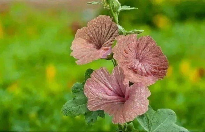 12bf917d-fd13-40eb-bcc9-a6fb88bbfa78