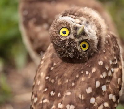 496acc95-75ec-4d6d-8f27-95ffe5c52187