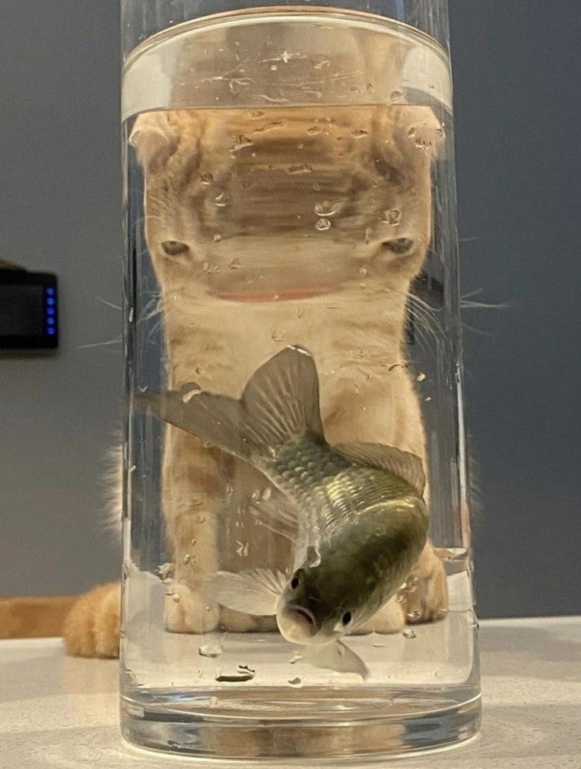 d6a2094b-37b0-4a32-aa30-7ff14d6374df