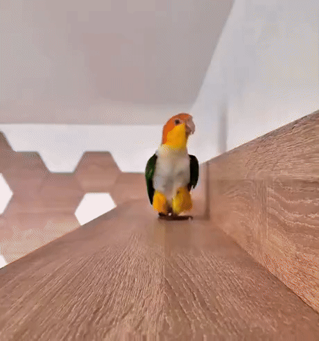 3677a7e1-eba2-4d23-908d-c5600bcf7e2e