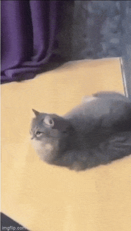 f8006b88-b17f-437e-9980-46f1dd8a93b7