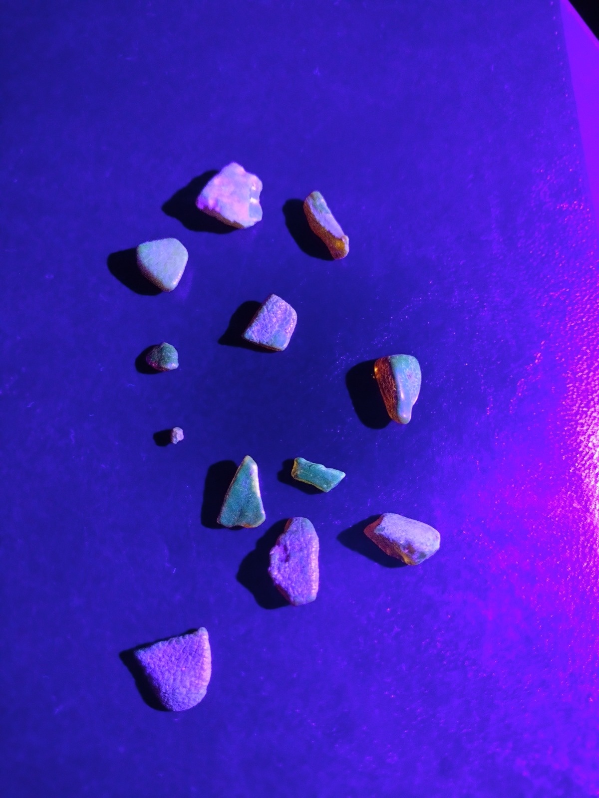 7e27fa82-01ce-405a-b727-05b9bdc24be8