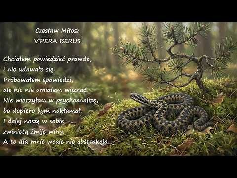 Vipera Berus Czesław Miłosz Poezje Wiersze | Poezja Dla Duszy