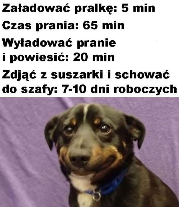 ed18b195-04f8-4bc2-9d98-5cba955687e7