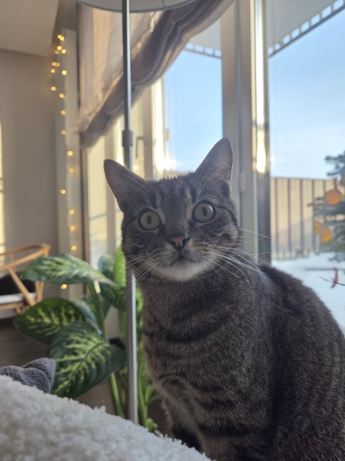 e8e56081-1eb6-4977-b3c0-62e026aa7702