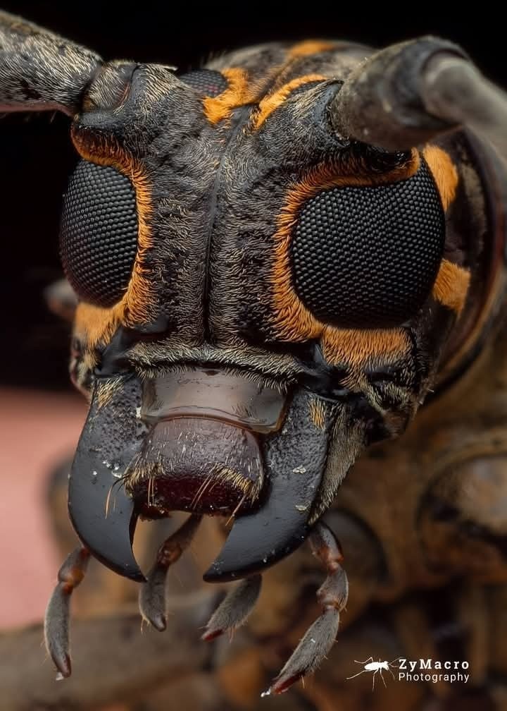 639a6c31-5a98-42f2-b848-a568f674ad0f