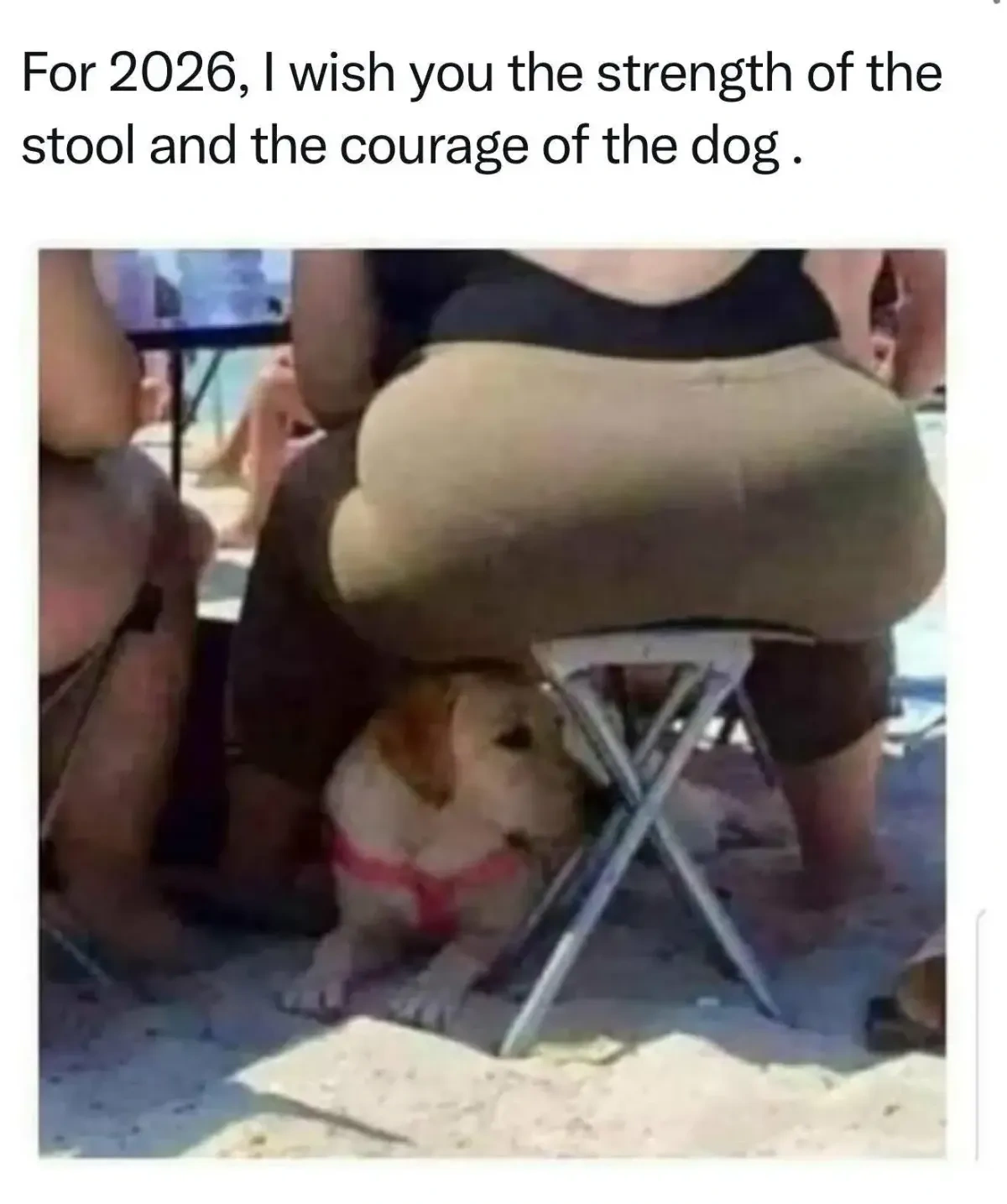 ba8081b3-0be7-4630-b868-91134f1d4d04