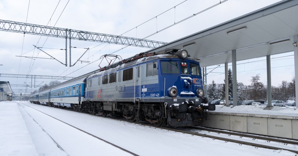 Polowali przy torach kolejowych. Pociąg musiał gwałtownie hamować