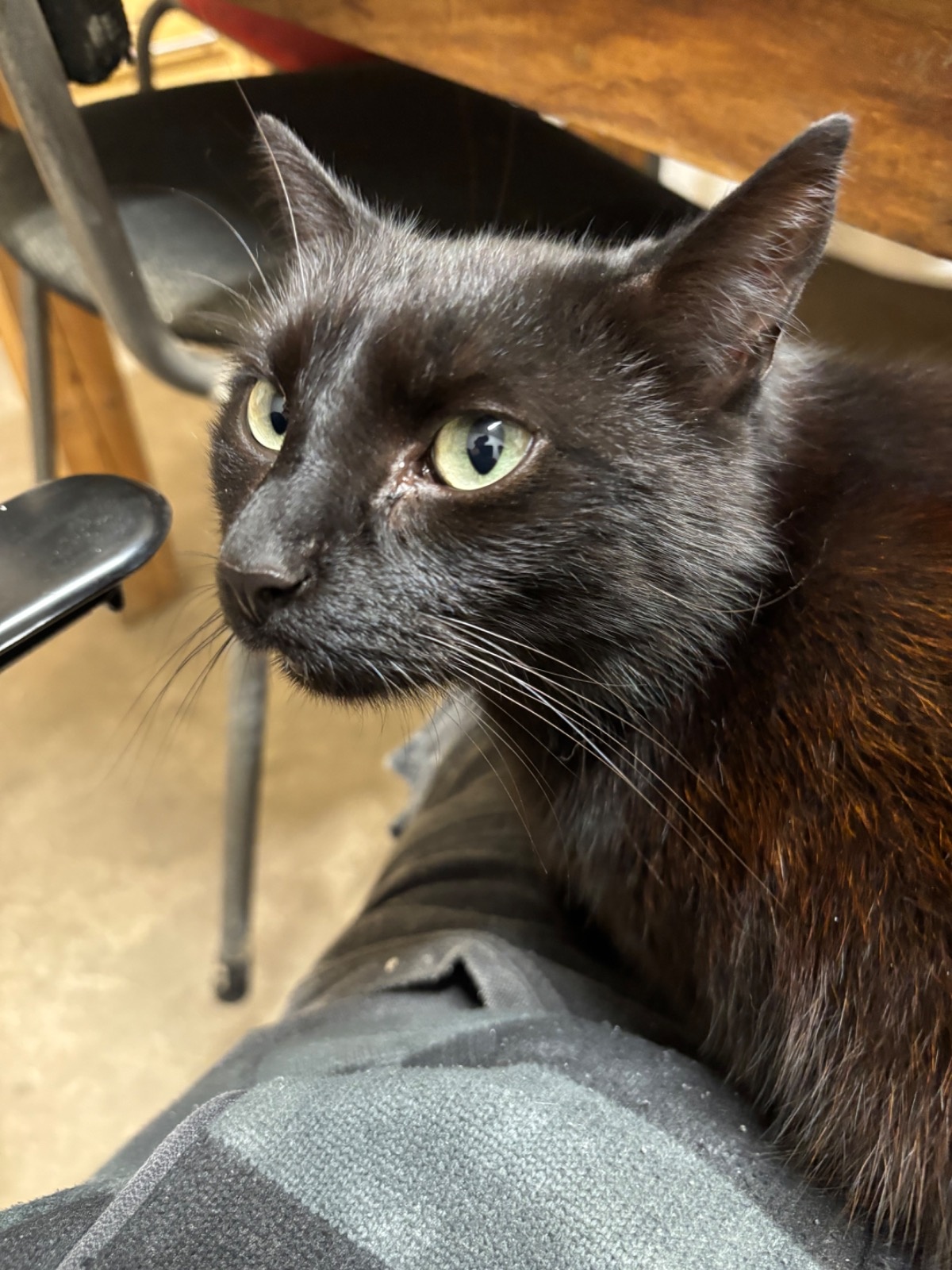 94e6be0d-ba5b-4637-b006-b846ba836c95