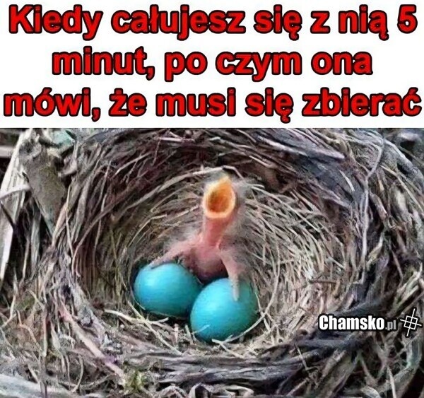 cc007dd2-f2d3-4320-bb68-420d8317d501