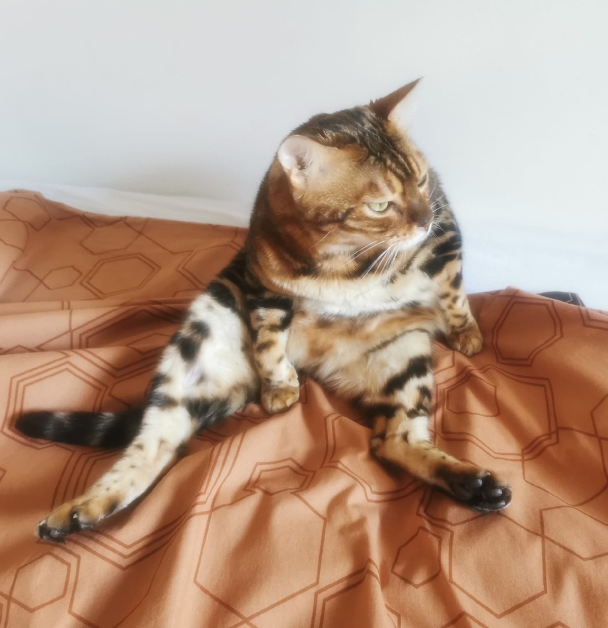 98e84e3b-7633-4212-b4ba-27dfc0d0f9d5