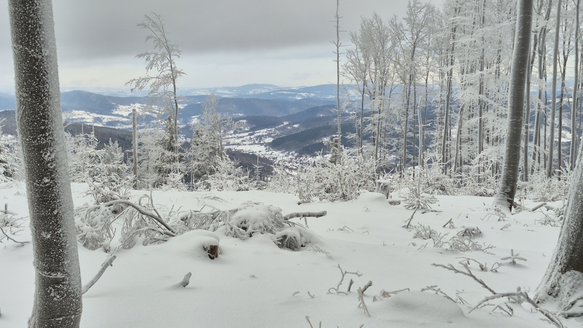 7b3ce742-5d0e-4e70-9aa6-8bf79e79a9c0