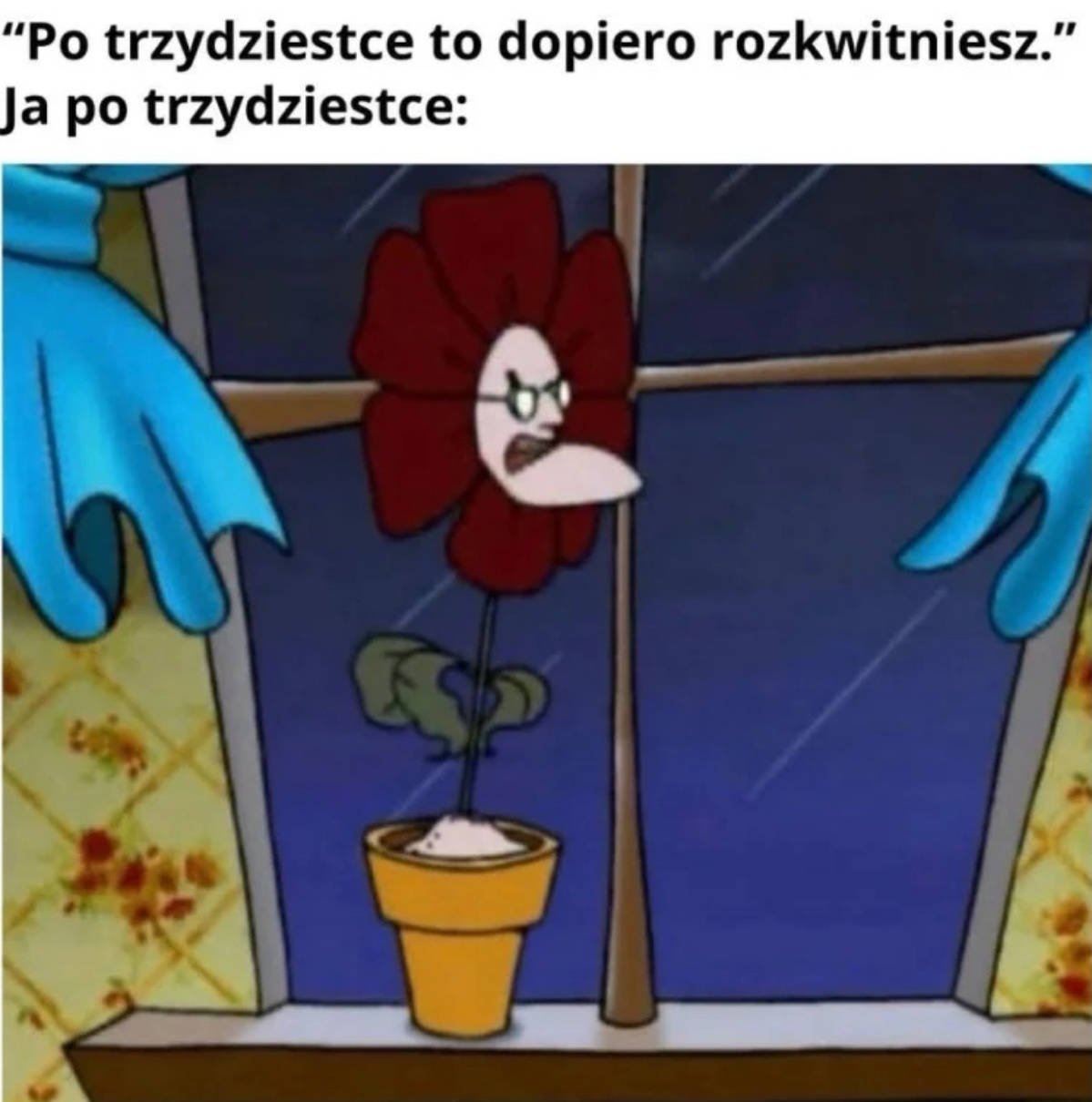 be399d82-7117-4731-8654-1b957913ed81