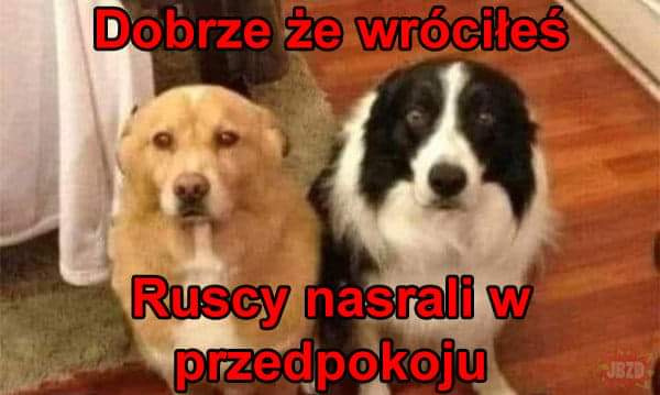 744f6209-c141-43f2-8bc2-60236a3238b3