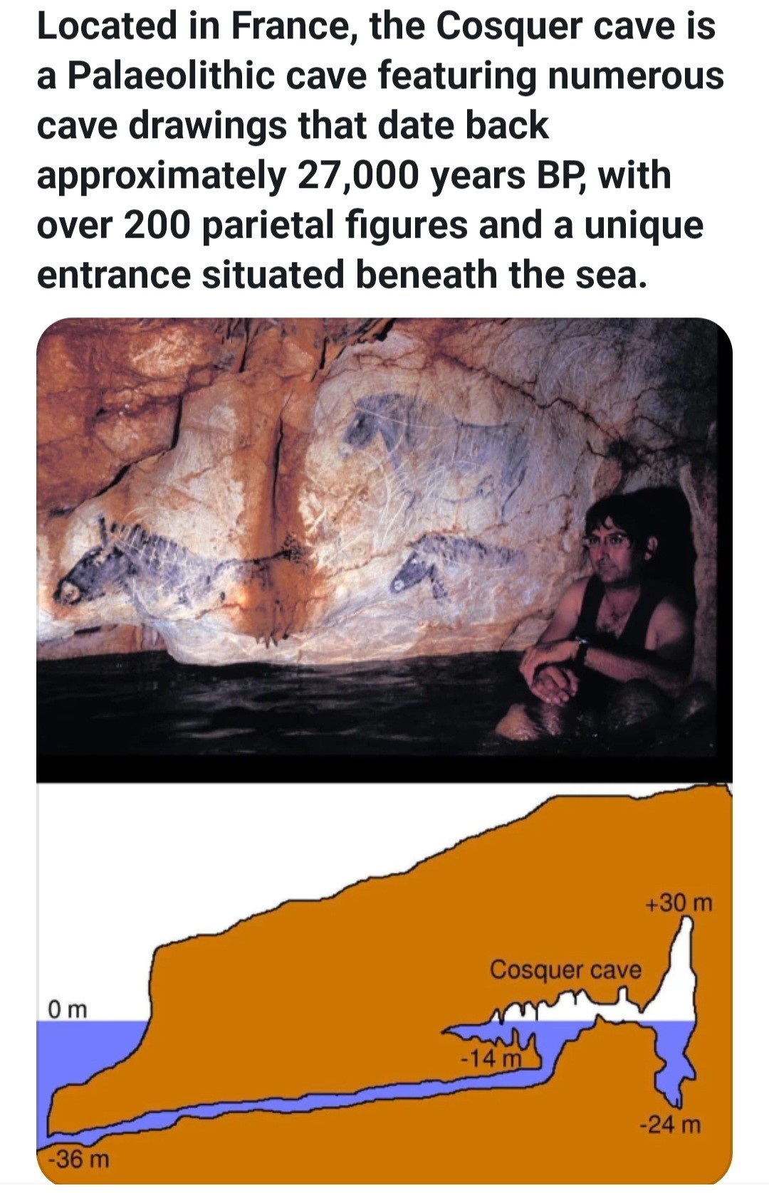 96269009-2c7e-4f36-aafd-2c700dc3c5d3