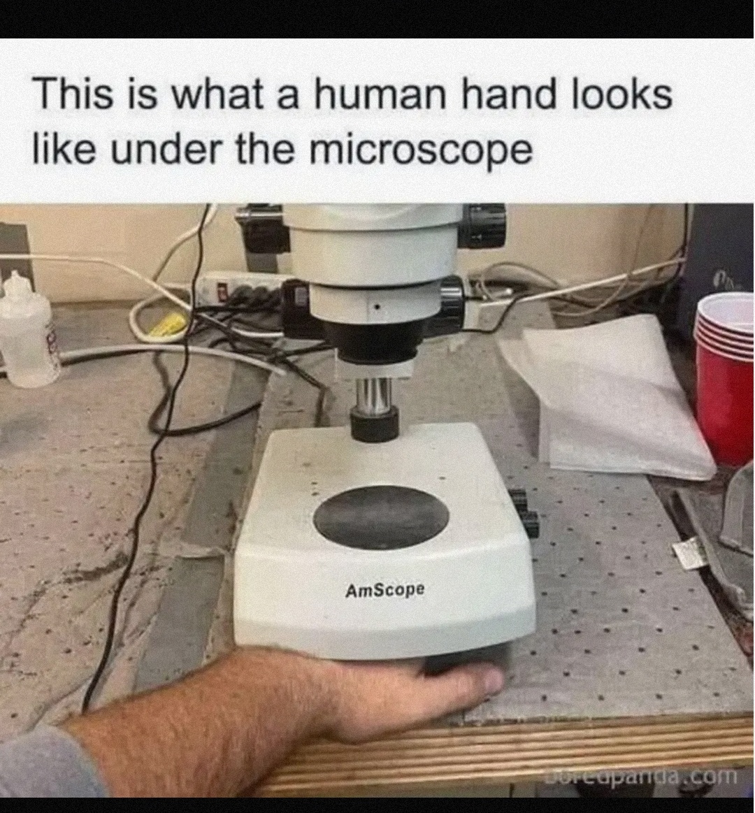 e9016f5c-f9c1-41a7-88fe-e122d84616a6