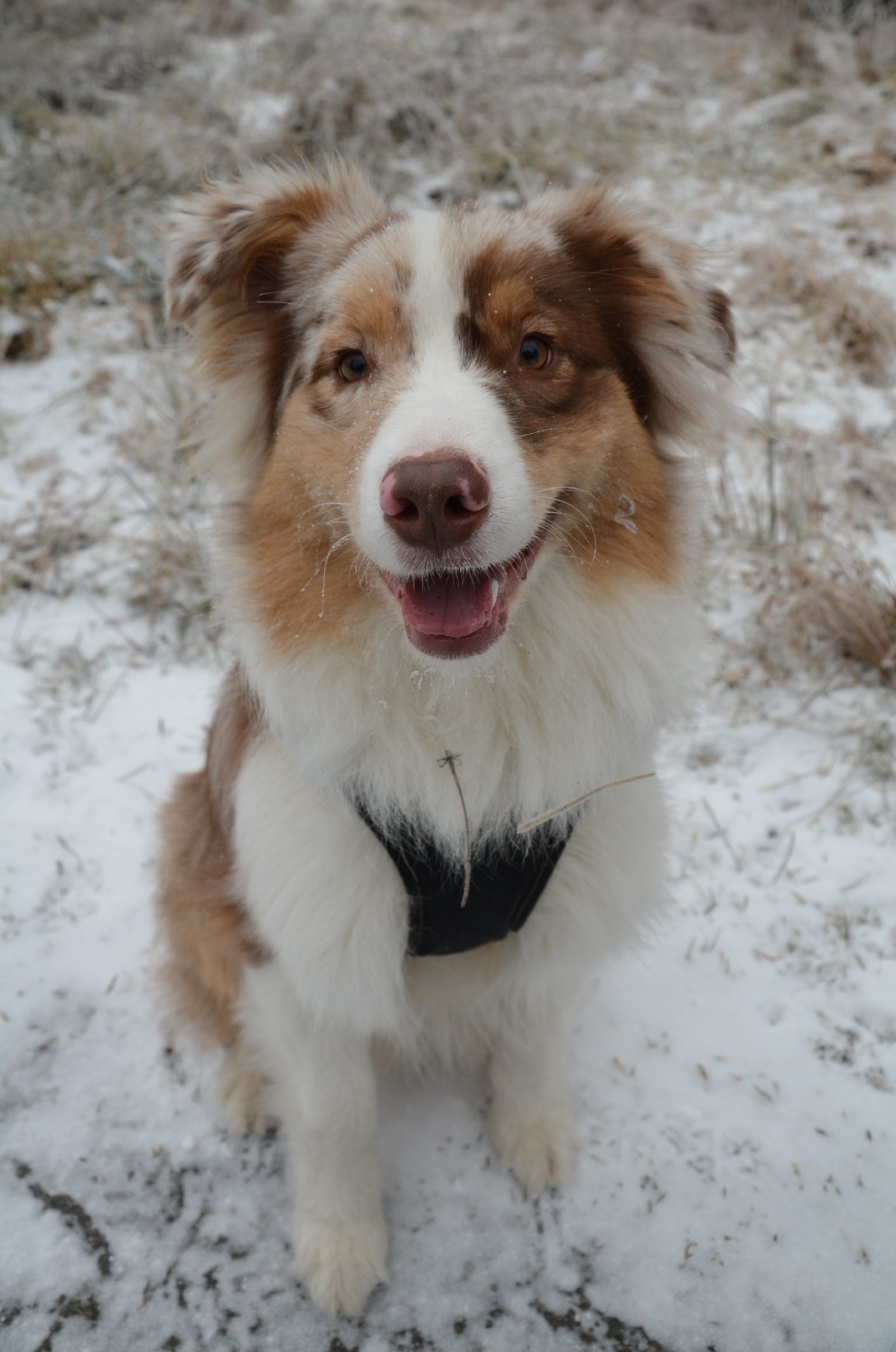 254218fc-ee37-4efc-b65b-501f46222040