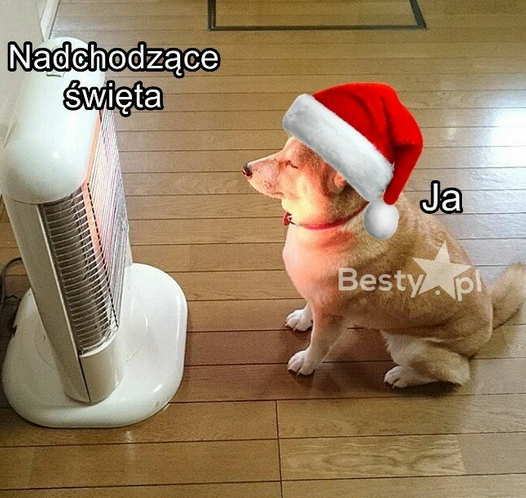 28953035-ce84-44b3-a38f-b7c9186590f9