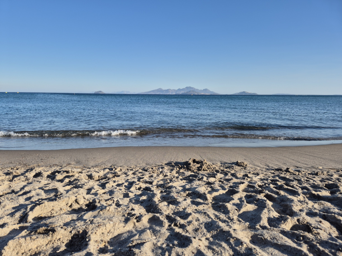 2bf24af7-1ad4-4d8f-9b25-b000b91efab0