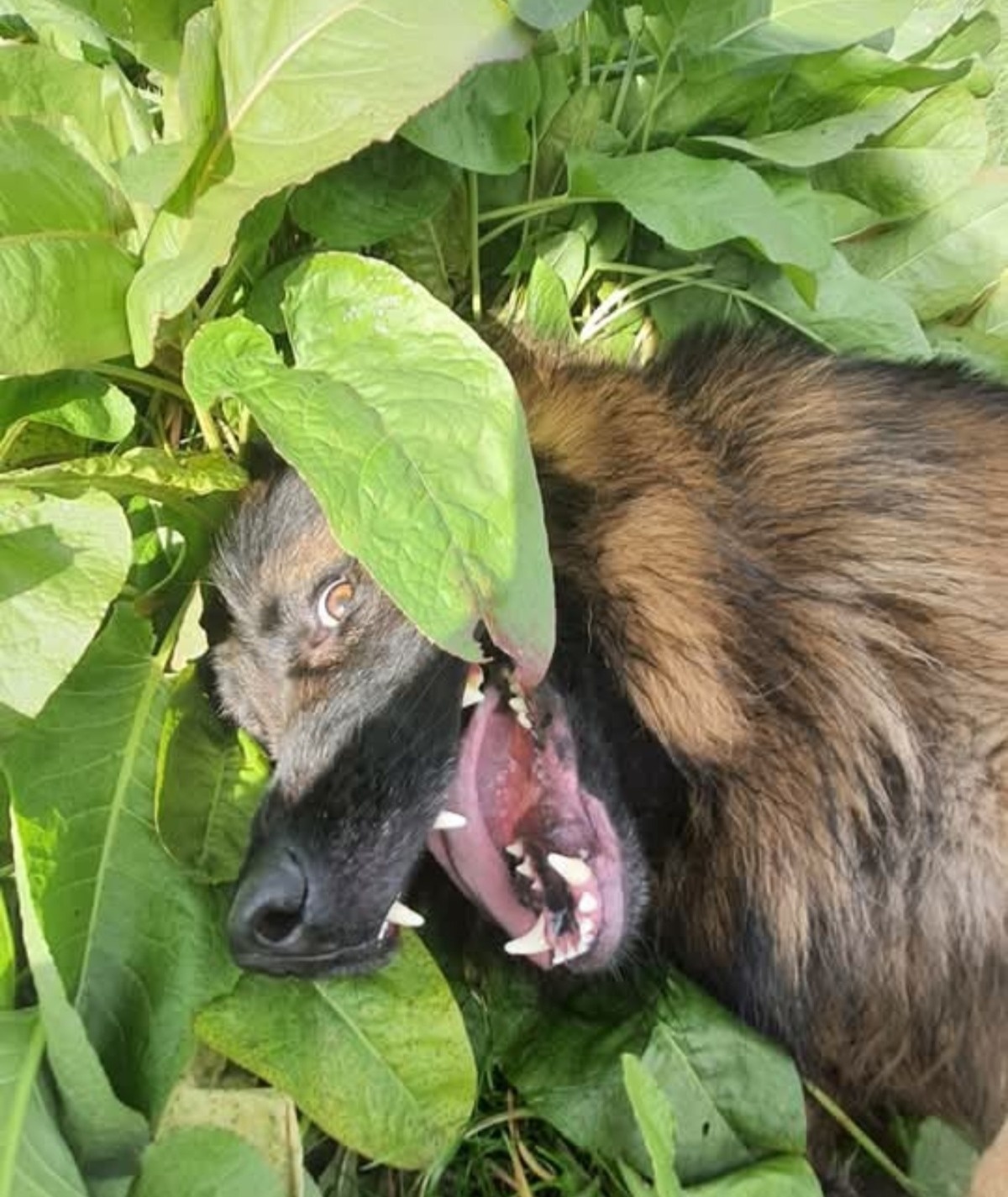 bc05ad32-497b-4c9b-bbaa-93c0b38559d1